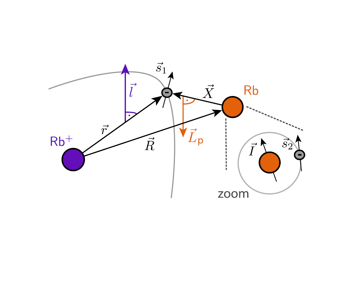 Spin structure of ultralong-range Rydberg molecules