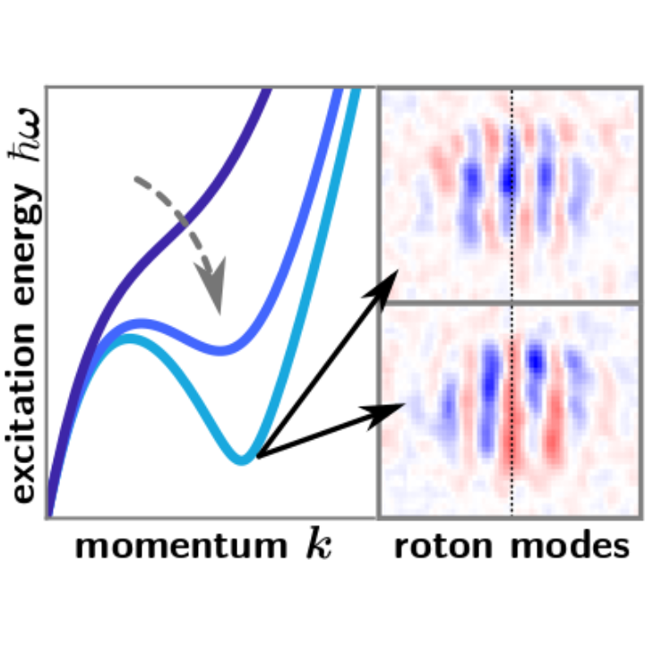 Schematic visualization of the softening roton excitation in the dispersion relation of an elongated dipolar BEC and example images of the measured in-situ density fluctuations showing the two roton modes.