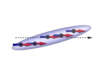 Quantum Scissors
