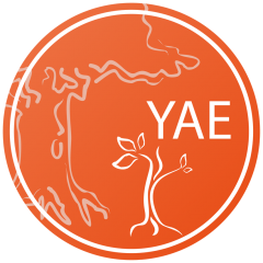 Young Academy of Europe