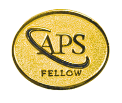 APS fellowspin_3