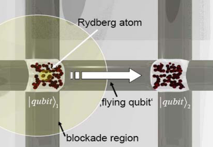 Photonic platform for Rydberg quantum optics